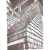 Портфолио Camila Turini